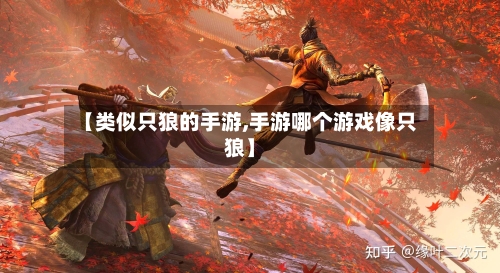 【类似只狼的手游,手游哪个游戏像只狼】