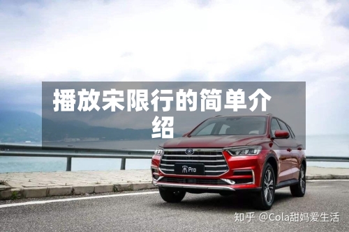 播放宋限行的简单介绍