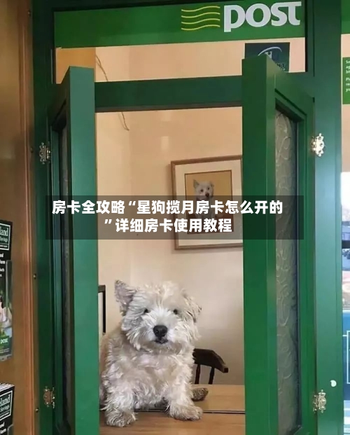 房卡全攻略“星狗揽月房卡怎么开的”详细房卡使用教程-第2张图片
