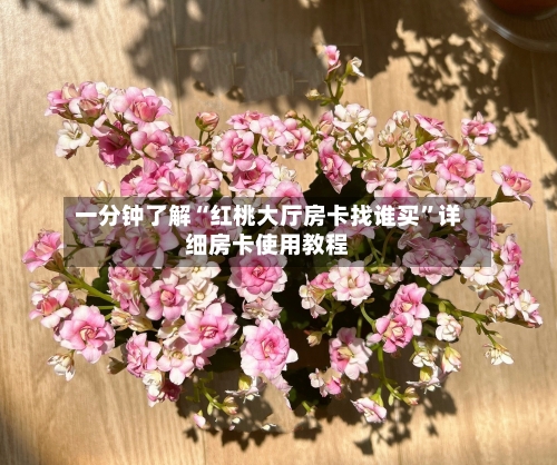 一分钟了解“红桃大厅房卡找谁买”详细房卡使用教程-第2张图片