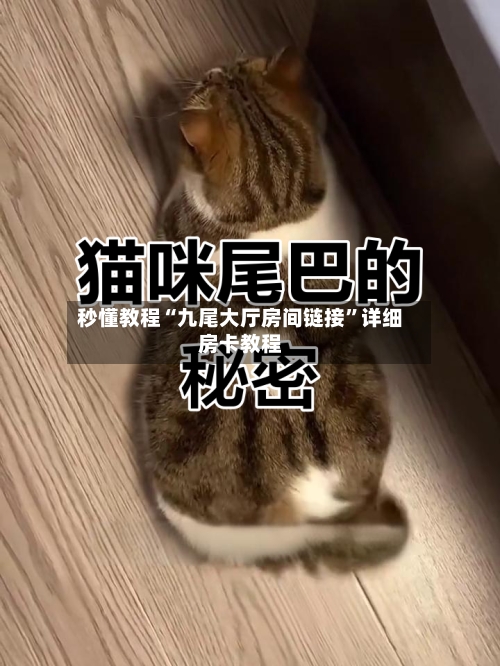 秒懂教程“九尾大厅房间链接	”详细房卡教程-第3张图片