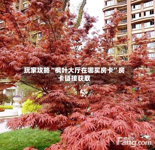 玩家攻略“枫叶大厅在哪买房卡	”房卡链接获取-第3张图片