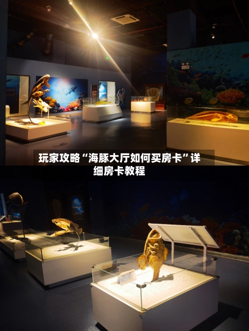 玩家攻略“海豚大厅如何买房卡	”详细房卡教程-第2张图片