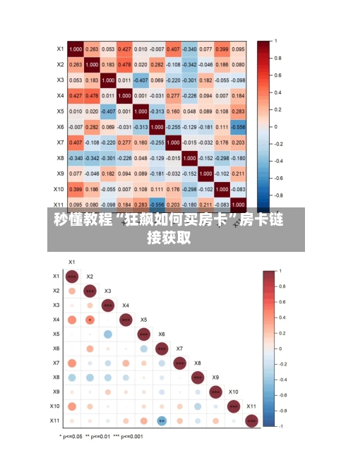 秒懂教程“狂飙如何买房卡”房卡链接获取-第2张图片