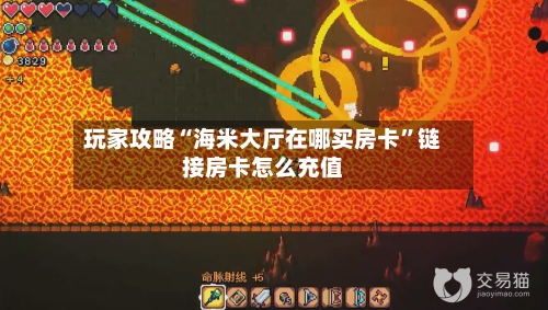 玩家攻略“海米大厅在哪买房卡”链接房卡怎么充值-第2张图片