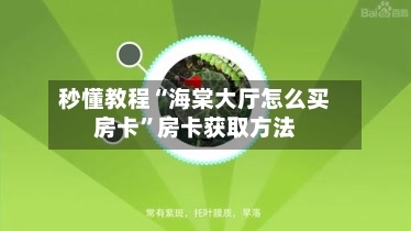 秒懂教程“海棠大厅怎么买房卡”房卡获取方法-第2张图片