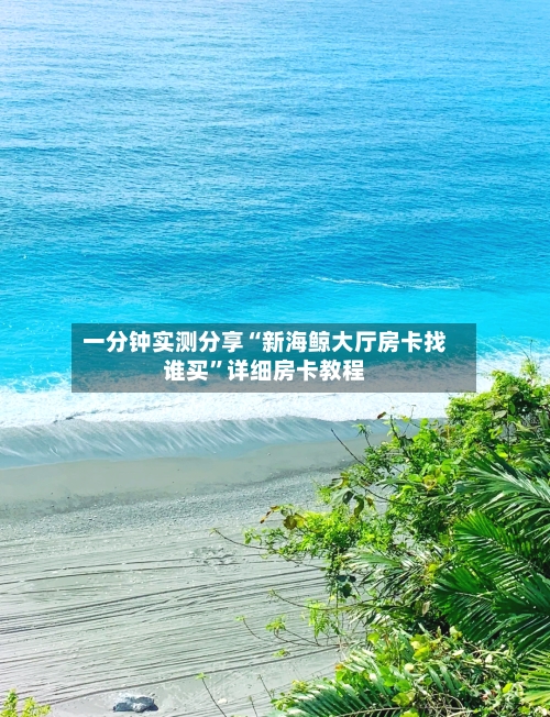 一分钟实测分享“新海鲸大厅房卡找谁买”详细房卡教程-第2张图片