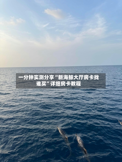 一分钟实测分享“新海鲸大厅房卡找谁买”详细房卡教程