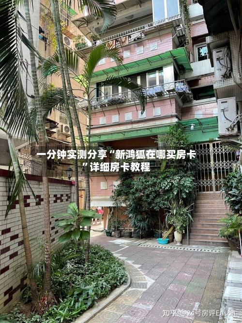 一分钟实测分享“新鸿狐在哪买房卡”详细房卡教程