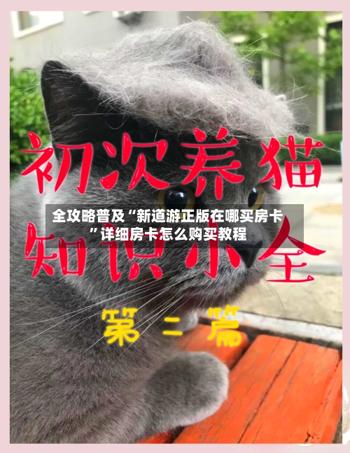 全攻略普及“新道游正版在哪买房卡”详细房卡怎么购买教程