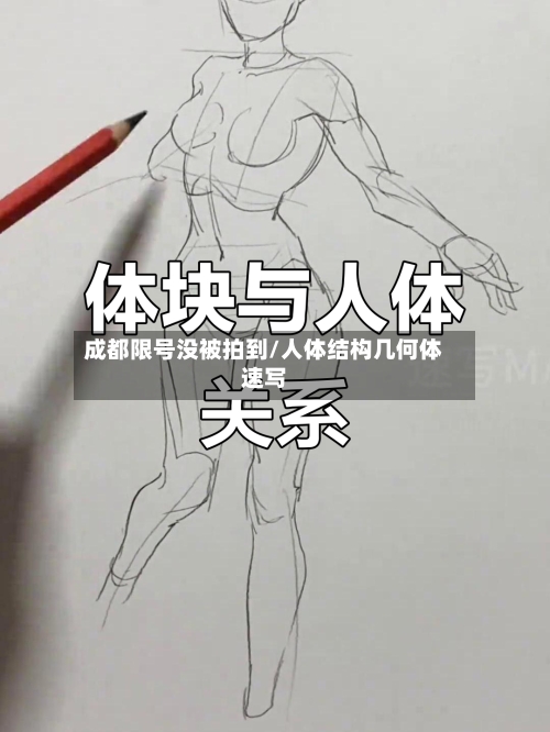 成都限号没被拍到/人体结构几何体速写