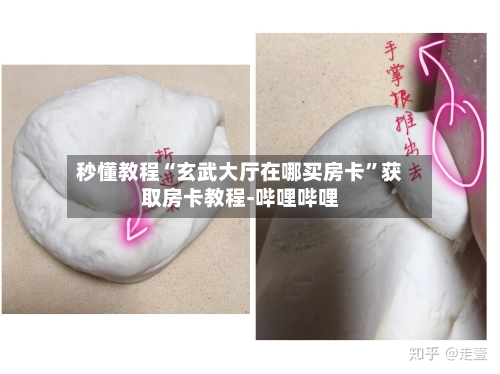 秒懂教程“玄武大厅在哪买房卡”获取房卡教程-哔哩哔哩