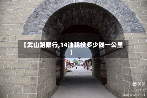 【武山路限行,14油耗投多少钱一公里】