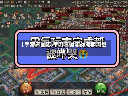 【手游三国志,手游三国志战略版流量消耗】