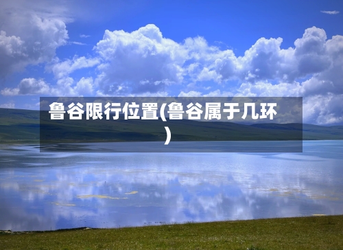鲁谷限行位置(鲁谷属于几环)
