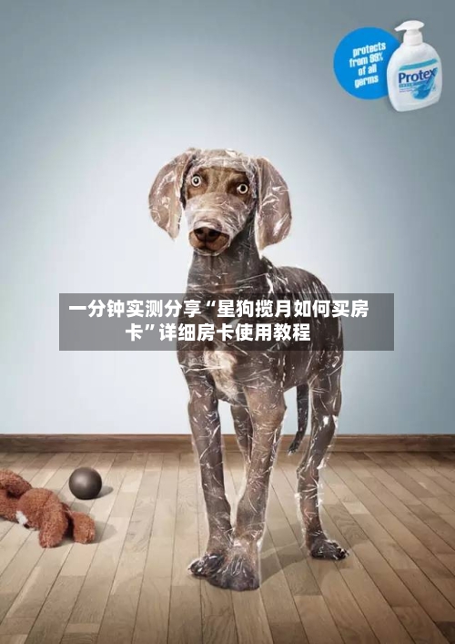 一分钟实测分享“星狗揽月如何买房卡”详细房卡使用教程-第2张图片