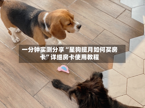 一分钟实测分享“星狗揽月如何买房卡”详细房卡使用教程