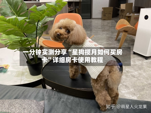 一分钟实测分享“星狗揽月如何买房卡”详细房卡使用教程-第3张图片