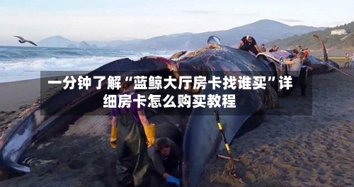 一分钟了解“蓝鲸大厅房卡找谁买”详细房卡怎么购买教程