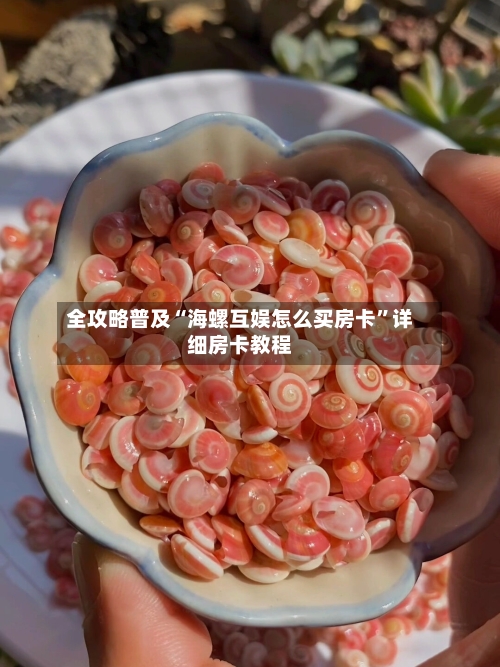 全攻略普及“海螺互娱怎么买房卡”详细房卡教程