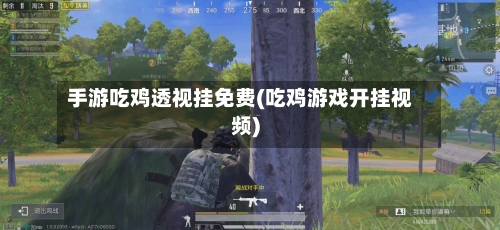 手游吃鸡透视挂免费(吃鸡游戏开挂视频)