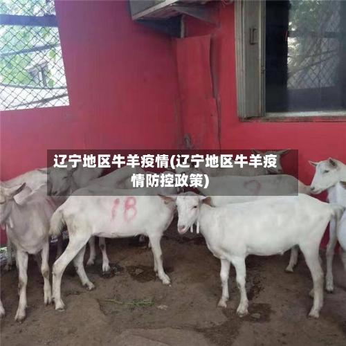 辽宁地区牛羊疫情(辽宁地区牛羊疫情防控政策)-第2张图片