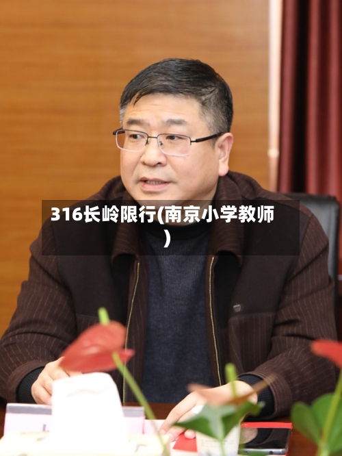 316长岭限行(南京小学教师)-第2张图片