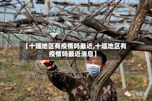 【十堰地区有疫情吗最近,十堰地区有疫情吗最近消息】-第2张图片