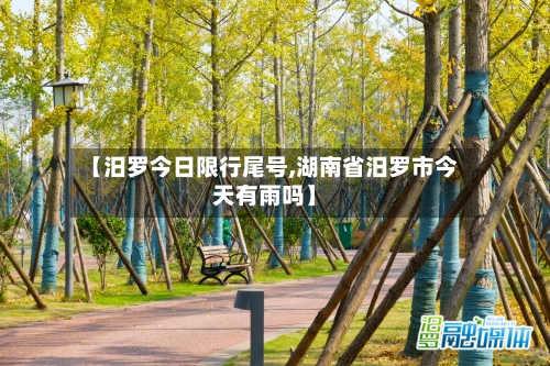 【汨罗今日限行尾号,湖南省汨罗市今天有雨吗】-第3张图片