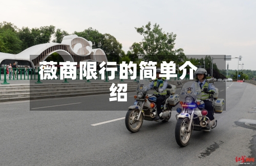 薇商限行的简单介绍