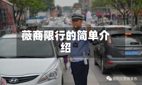 薇商限行的简单介绍-第3张图片