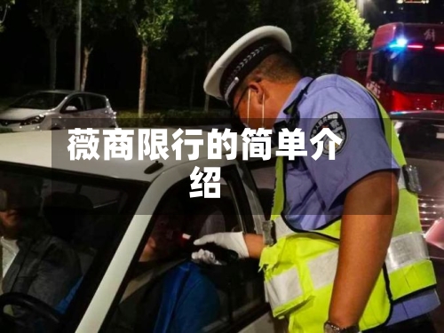薇商限行的简单介绍-第2张图片