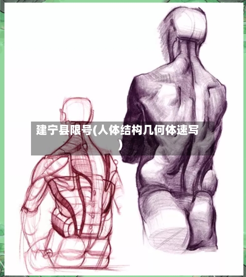 建宁县限号(人体结构几何体速写)-第2张图片