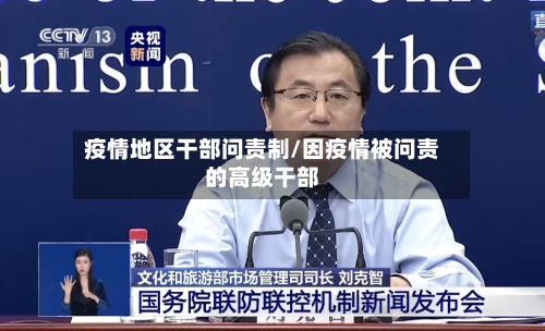 疫情地区干部问责制/因疫情被问责的高级干部