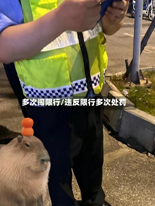 多次闯限行/违反限行多次处罚-第2张图片