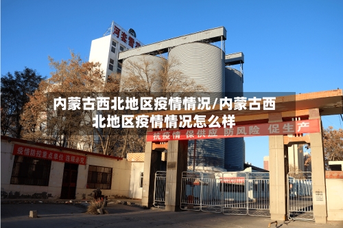 内蒙古西北地区疫情情况/内蒙古西北地区疫情情况怎么样-第2张图片