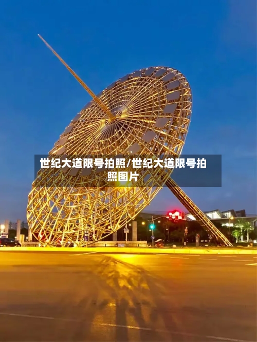 世纪大道限号拍照/世纪大道限号拍照图片-第2张图片