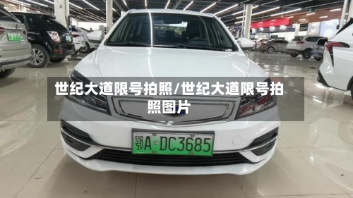 世纪大道限号拍照/世纪大道限号拍照图片-第3张图片