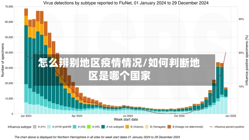 怎么辨别地区疫情情况/如何判断地区是哪个国家