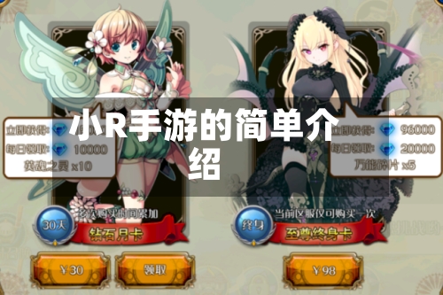 小R手游的简单介绍