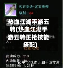 热血江湖手游五转(热血江湖手游五转正枪技能搭配)