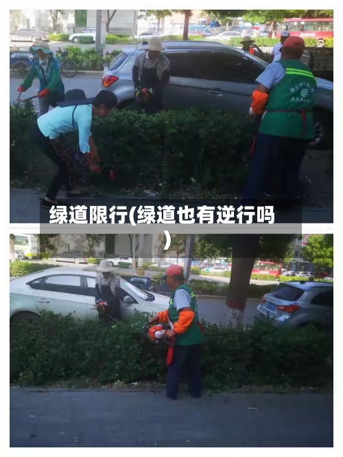绿道限行(绿道也有逆行吗)