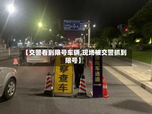 【交警看到限号车辆,现场被交警抓到限号】-第3张图片