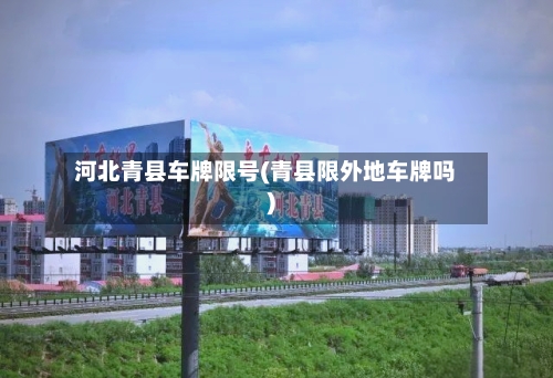 河北青县车牌限号(青县限外地车牌吗)