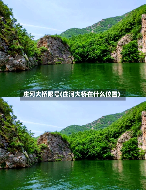庄河大桥限号(庄河大桥在什么位置)