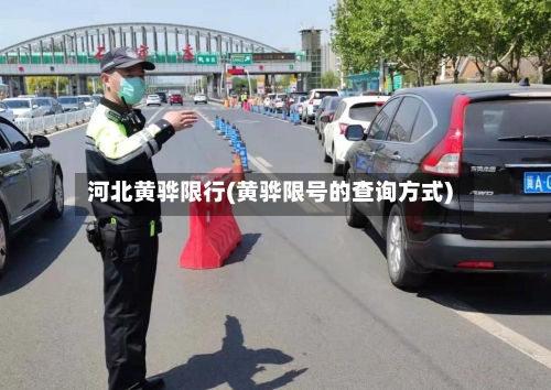 河北黄骅限行(黄骅限号的查询方式)