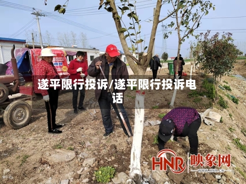 遂平限行投诉/遂平限行投诉电话