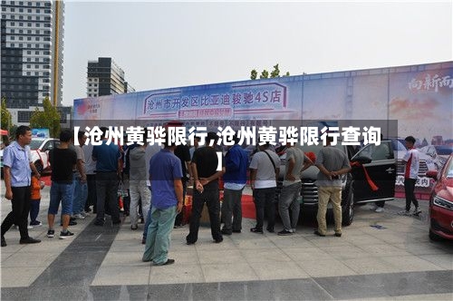 【沧州黄骅限行,沧州黄骅限行查询】