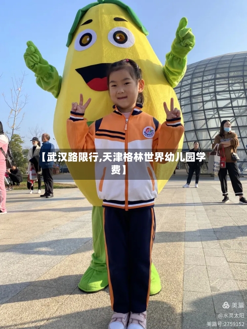 【武汉路限行,天津格林世界幼儿园学费】-第3张图片