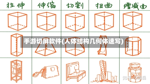 手游切屏软件(人体结构几何体速写)